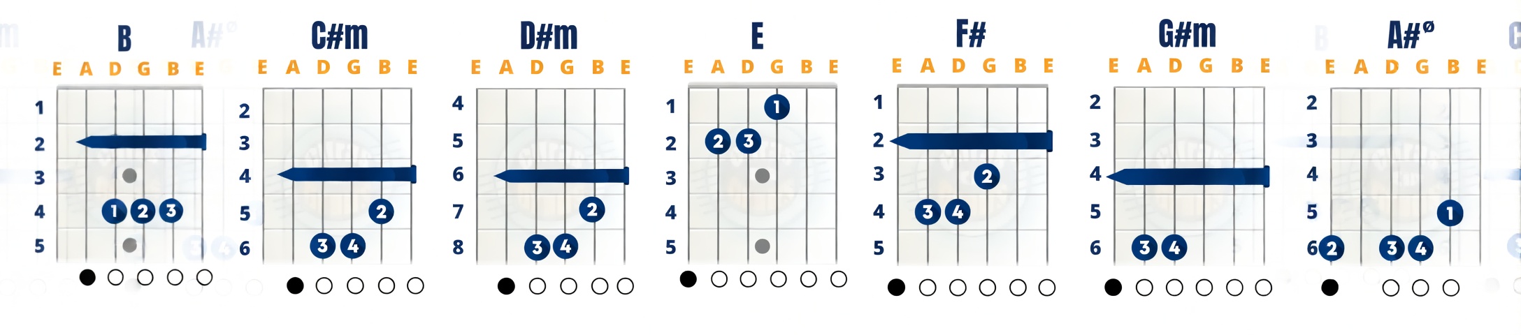 Campo harmonico de Si
