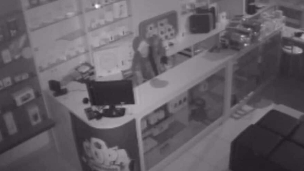 Bandidos invadem loja de celulares e furtam diversos produtos em Sinop